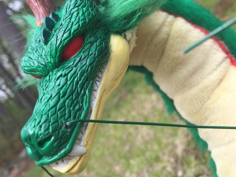 10 in shenron