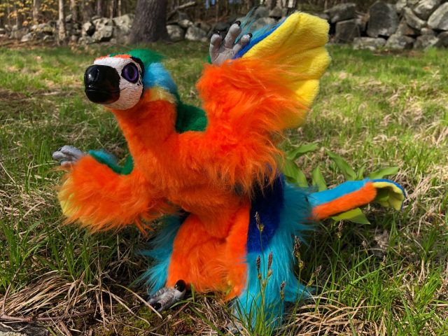 Microraptor Xing Commission Art Doll