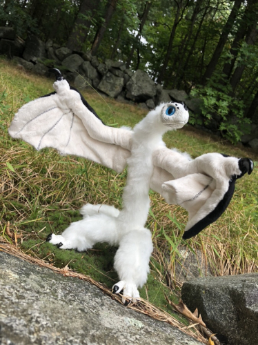 Arctic Dragon Wyvern
